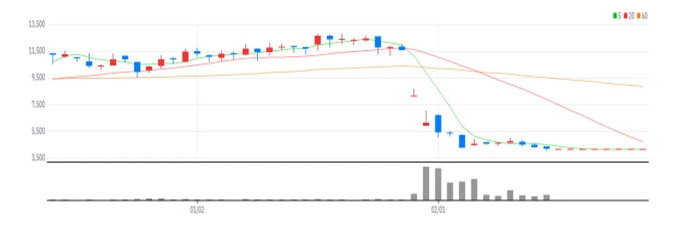 뉴지랩파마 차트