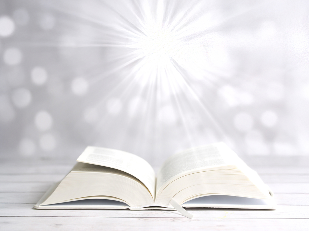 25년 9월 22일 말씀 카드 성경구절 : 아무도 등불을 켜서 그릇으로 덮거나 침상 밑에 놓지 않는다. (루카 8,16)