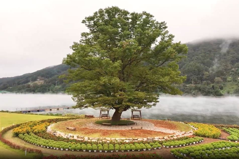 파크골프 지도자 자격증