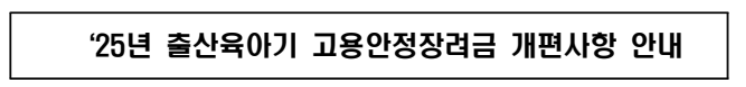 출산 육아기 고용안정장려금 개편사항