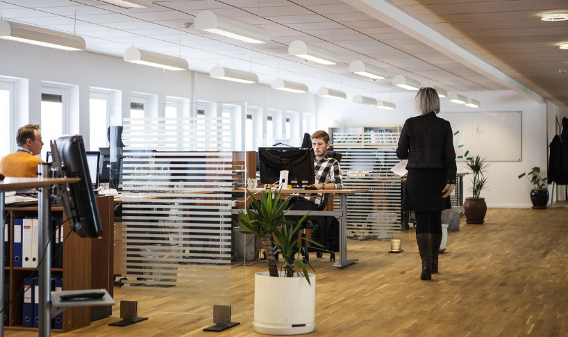 온라인 포트폴리오 플랫폼 추천 및 활용법: Notion, Behance, 브런치 등으로 나만의 커리어 전시관 만들기