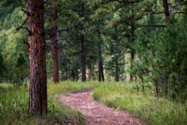 화담숲 예약 방법 모노레일 입장료