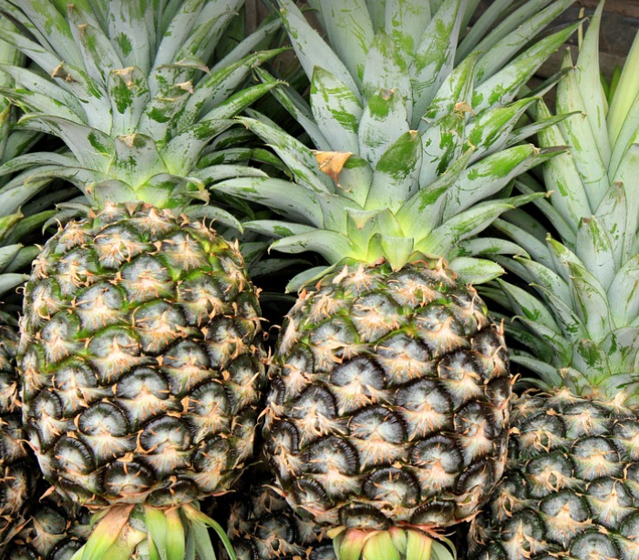 파인애플의 모습