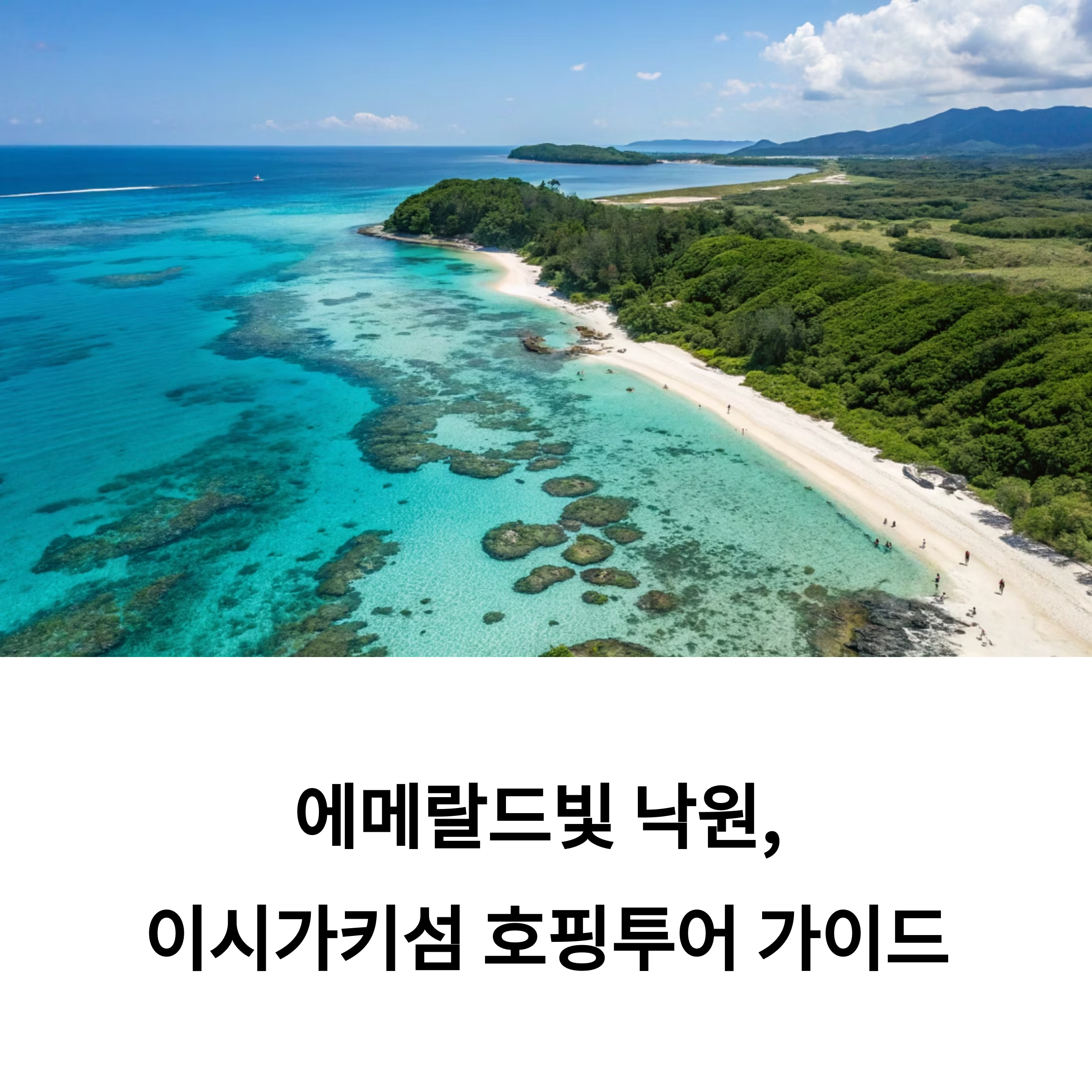 이시가키 섬 호핑투어 후기