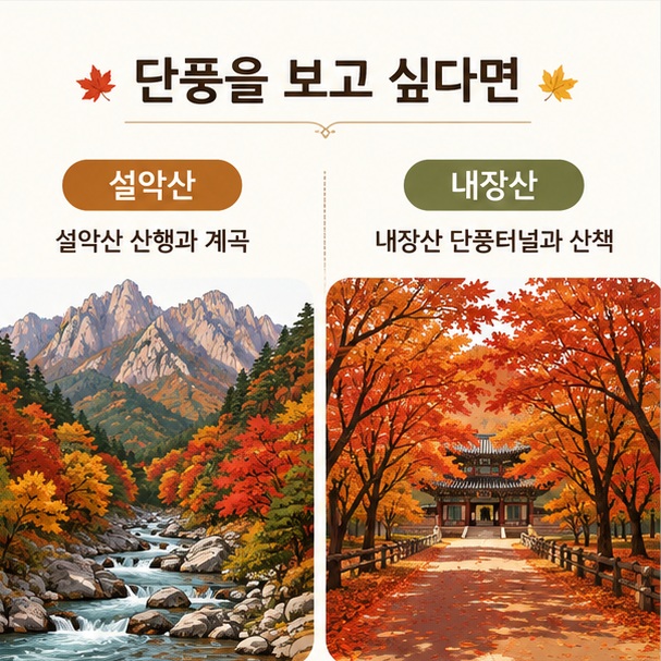 설악산의 산 능선과 계곡 단풍, 내장산의 단풍터널과 사찰 풍경을 비교한 이미지