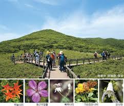 인제 점봉산 곰배령 예약