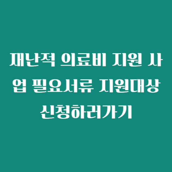재난적 의료비 지원 사업 필요서류 지원대상 신청하러가기