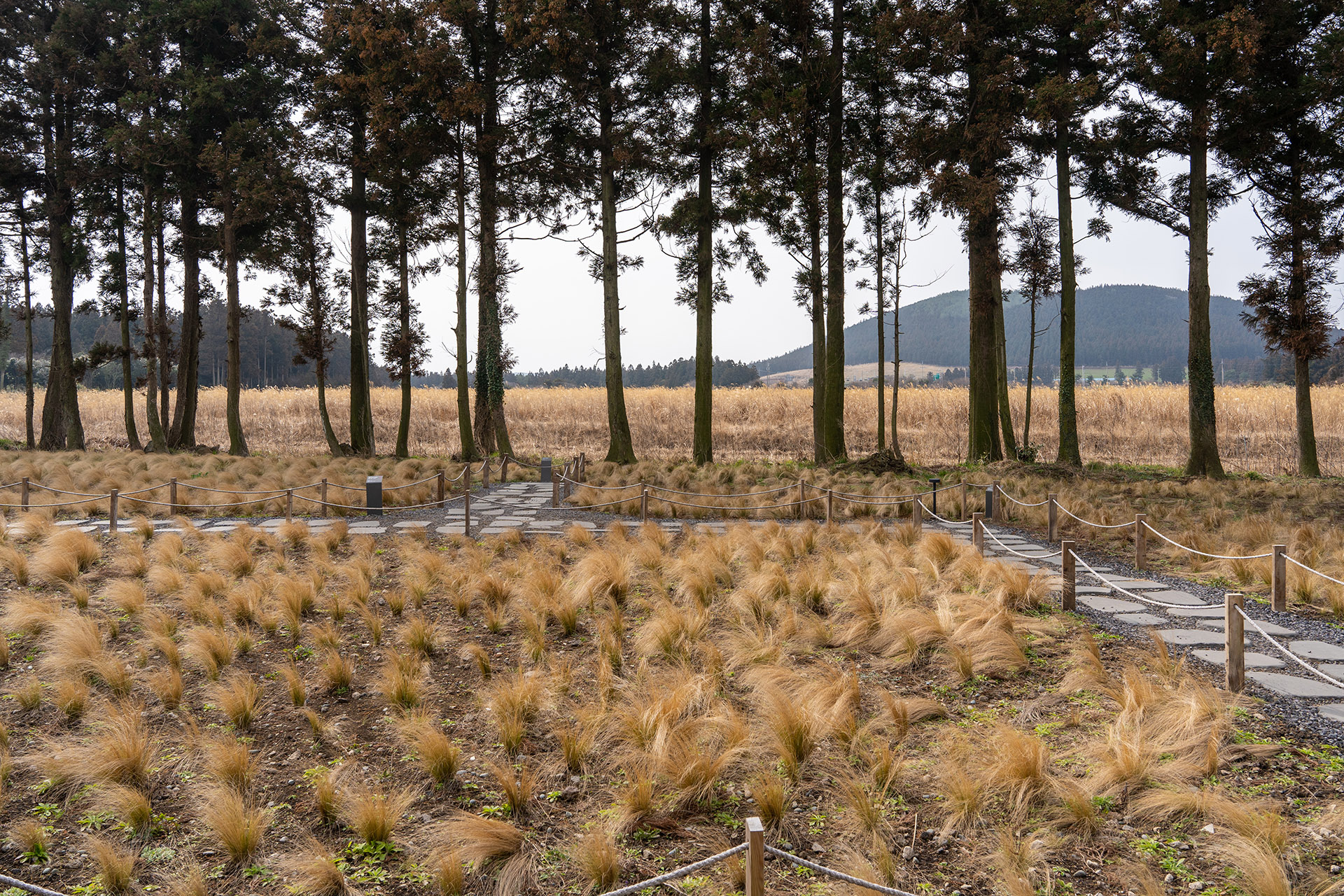 블루보틀 제주 카페