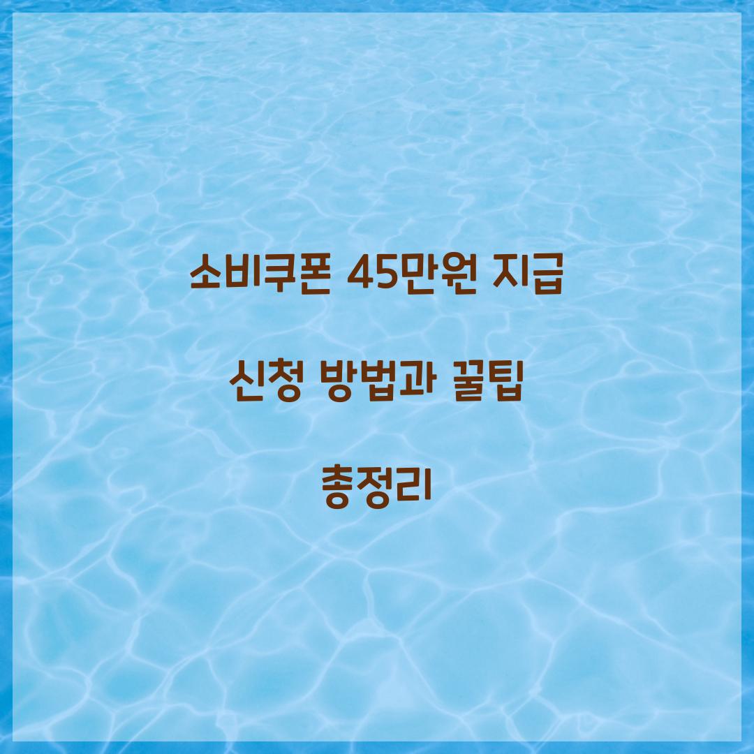 소비쿠폰 45만원 지급