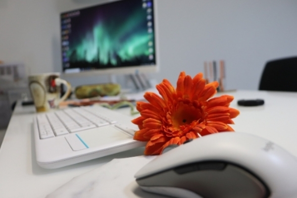 공공근로 신청방법