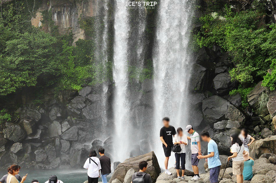 제주 노블피아호텔 주변 서귀포 가볼만한곳 BEST 10