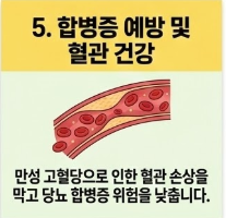 바나바잎 추출물 코로솔산 효능 5가지 상세 분석