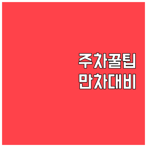 라팍 주차장 만차 대비 최후의 보루 ..