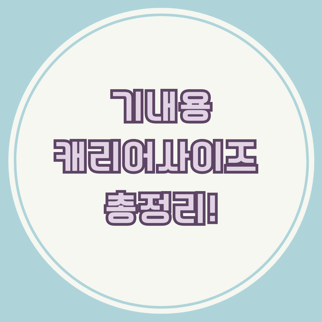 기내용 캐리어 사이즈