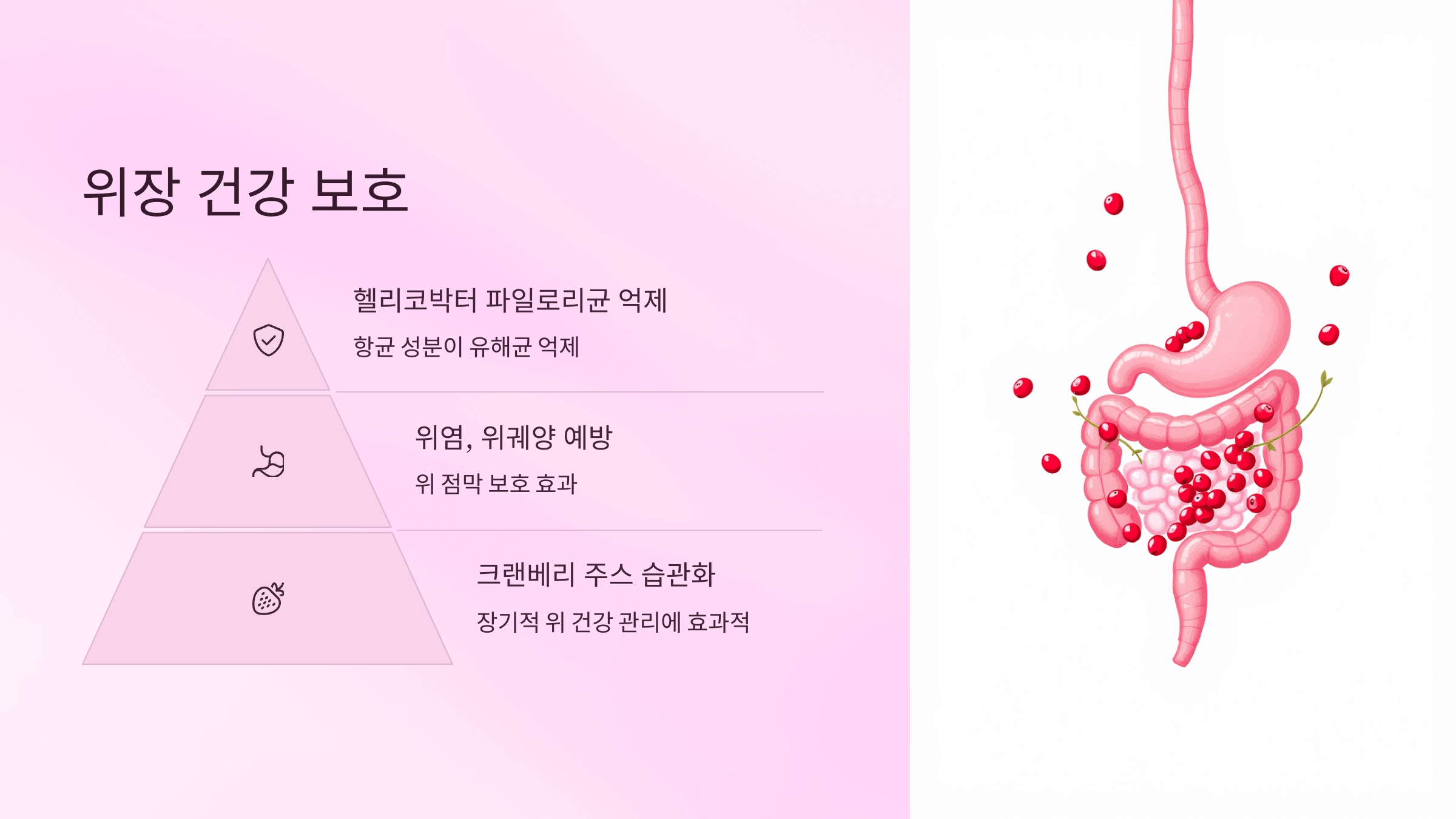 크랜베리 사진입니다.