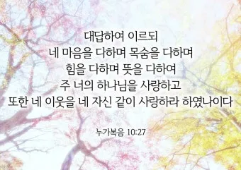 매일성경묵상과 실천(누가복음 10장 25-42절) 누가 내 참된 이웃입니까?_9