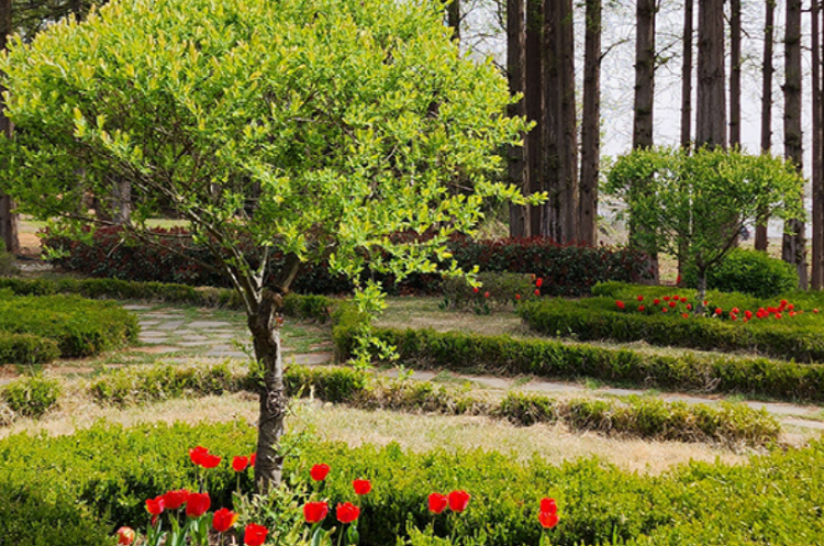 익산 아가페정원