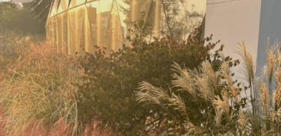 서울근교 단풍 명소 추천