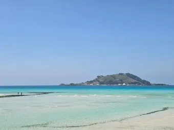 제주 협재 맛집 추천 카페와 브런치 맛집 포함_15