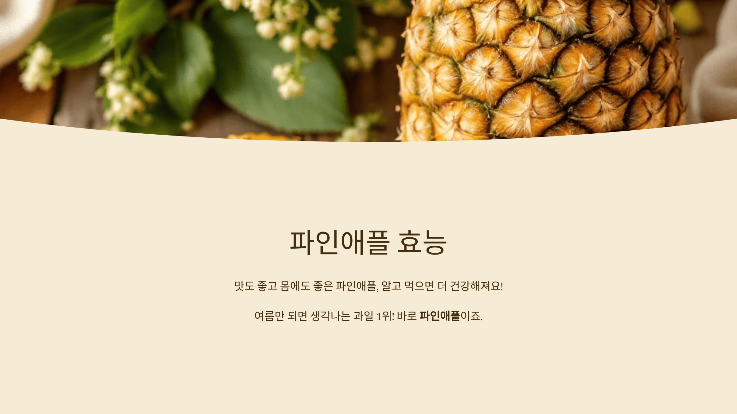 파인애플 사진입니다.