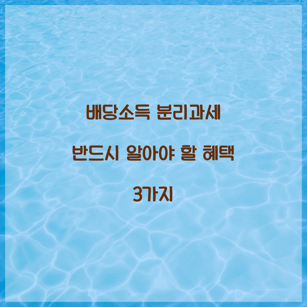 배당소득 분리과세