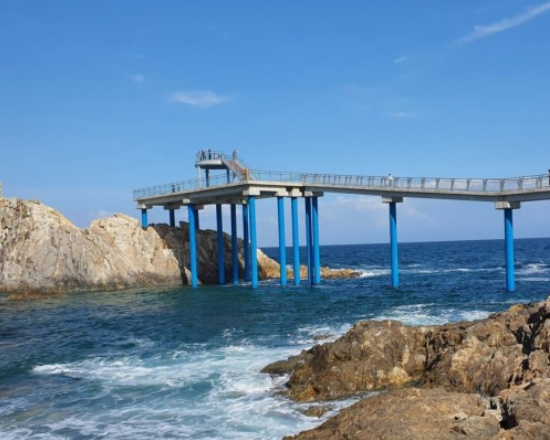 고성 거진항 사진