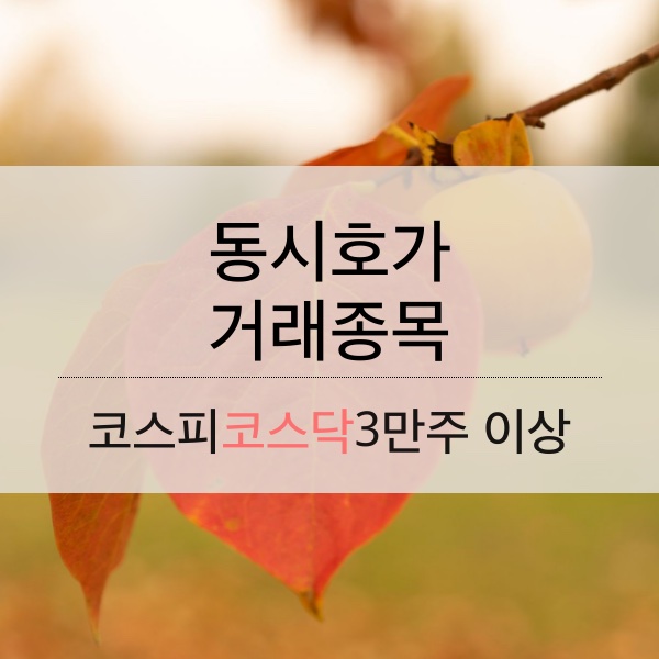 [10.30] 동시호가 거래 종목으로 보는 시황 리뷰