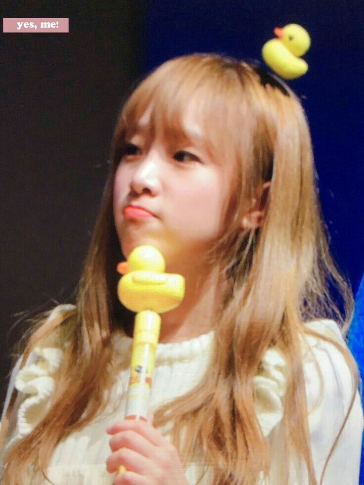 아이즈원 최예나 귀여운 매력어필