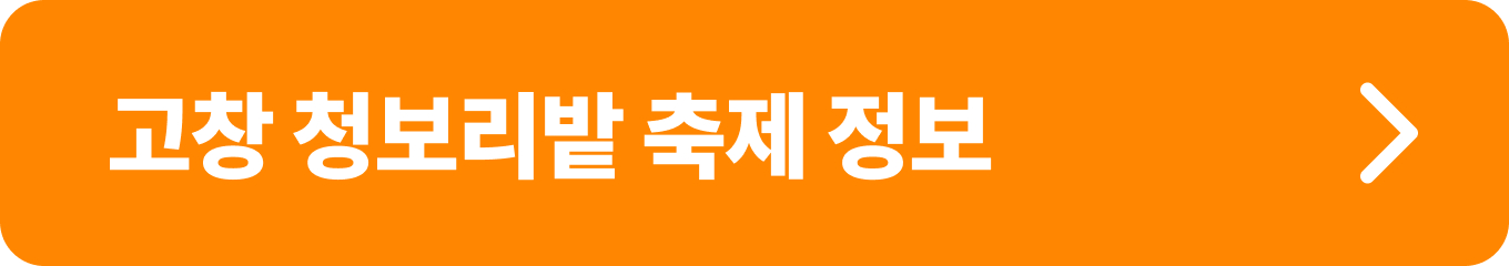 고창 청보리밭 축제 정보
