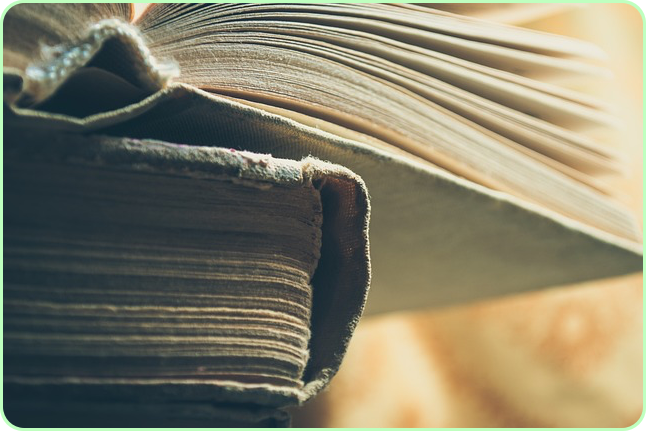 노벨문학상 한강 작품 수상작 ✅ 나이 아버지 채식주의자 고향 가족 ✅