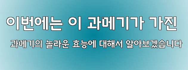 이번에는 이 과메기가 가진 과메기의 놀라운 효능에 대해서 알아보겠습니다