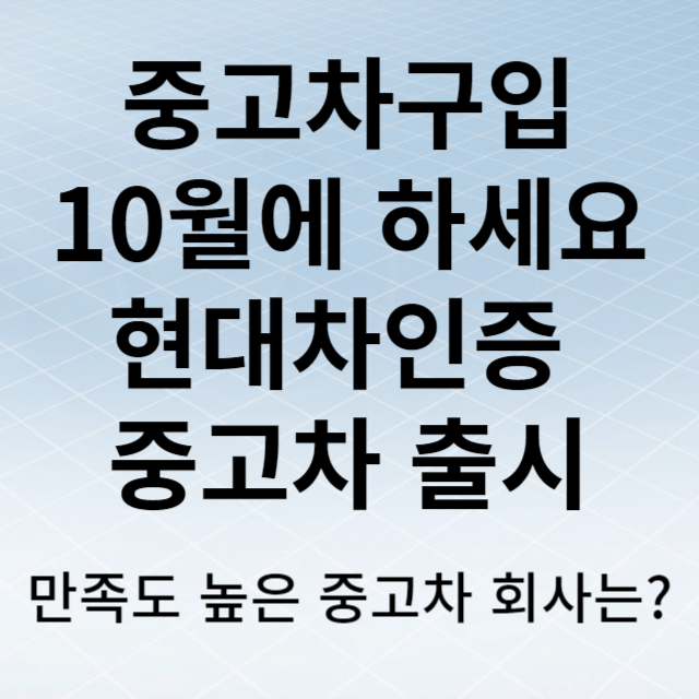 중고차구입