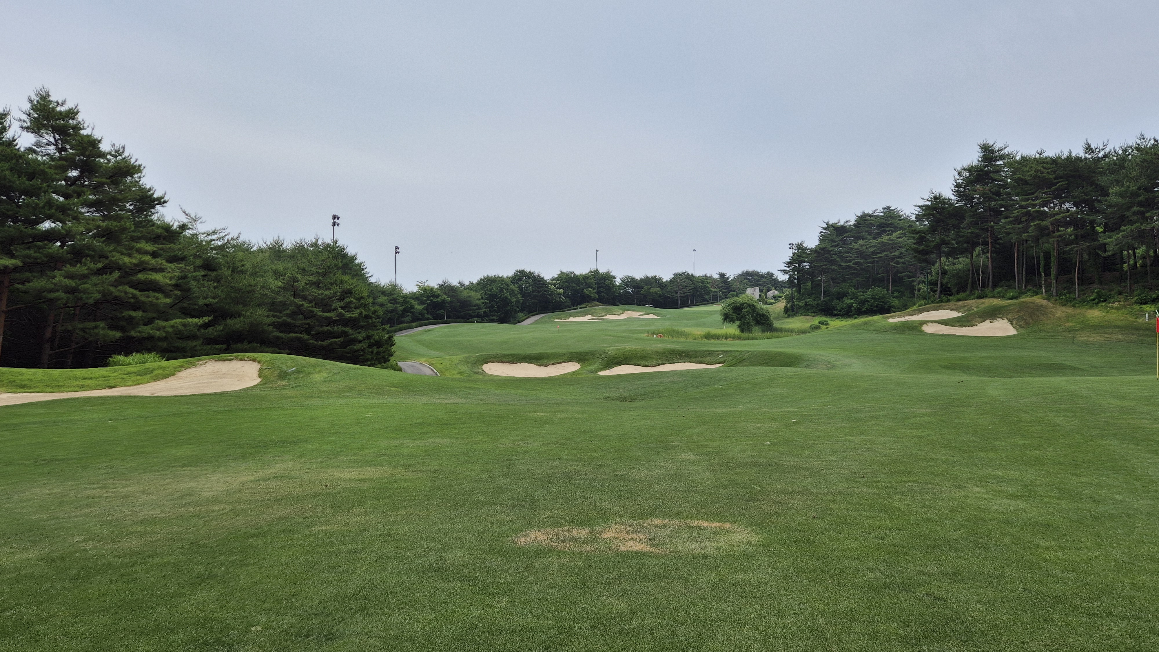 파인리즈cc 후기 및 코스사진