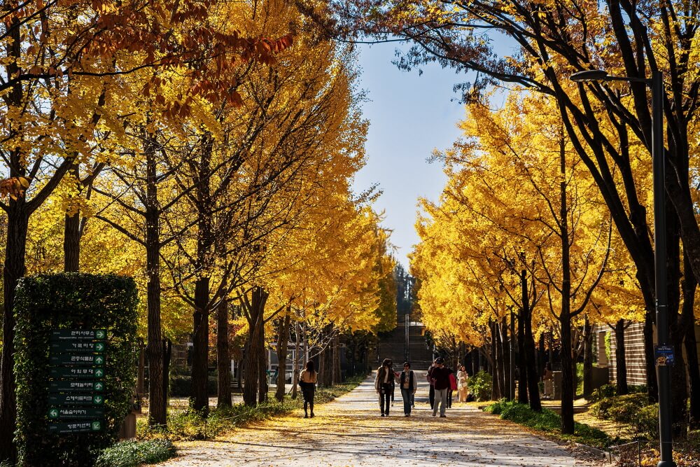 반려견과 가기 좋은 서울 가을 산책 코스