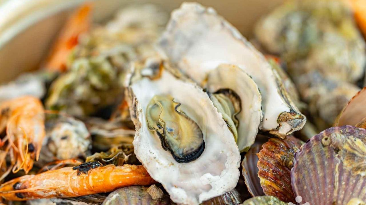 2025년 9월&middot;10월 제철 해산물 가이드