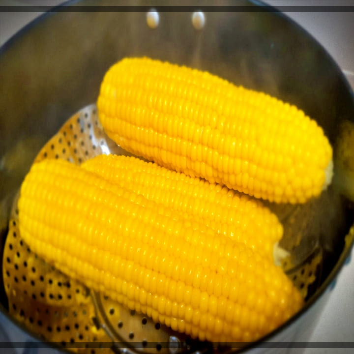 초당옥수수-찜기
