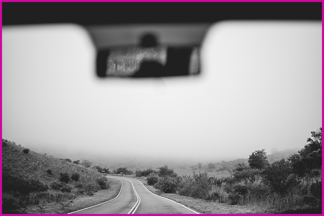 도미노피자 1+1 할인