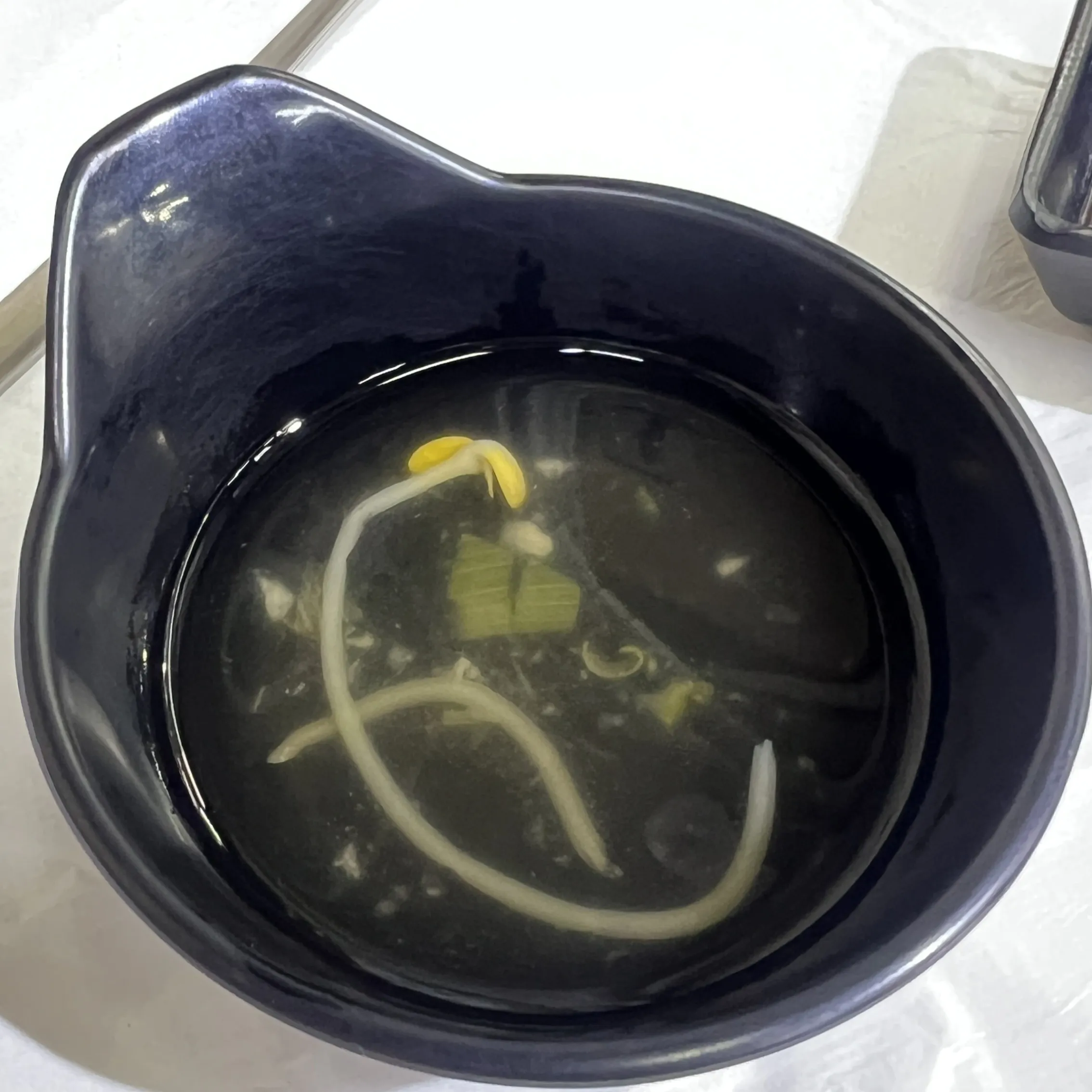 중앙시장 동해수산