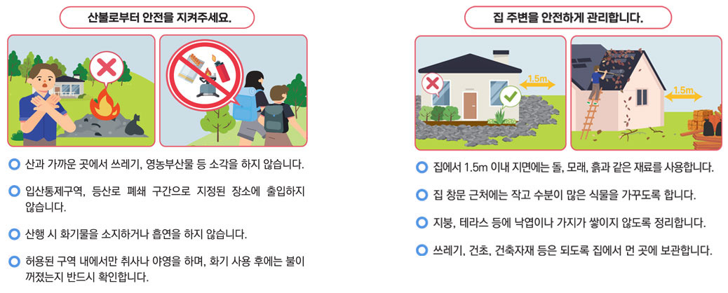 🔥 최근 산불 문제의 원인과 개선해야 할 산림정책