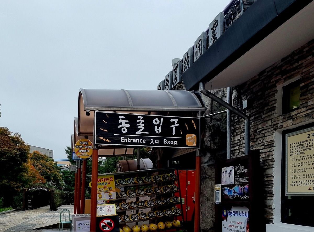 동해 가볼만한곳 천곡황금박쥐동굴 후기 비 오는 날 좋은 실내 여행지