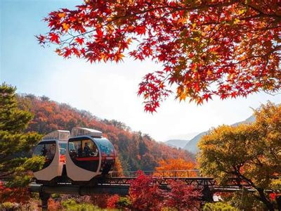 화담숲 모노레일