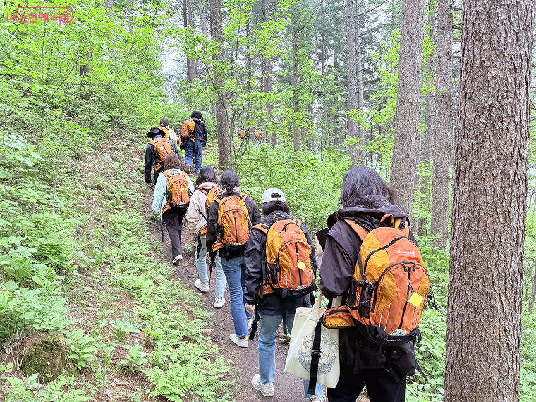 인생 디자인학교 프로그램 