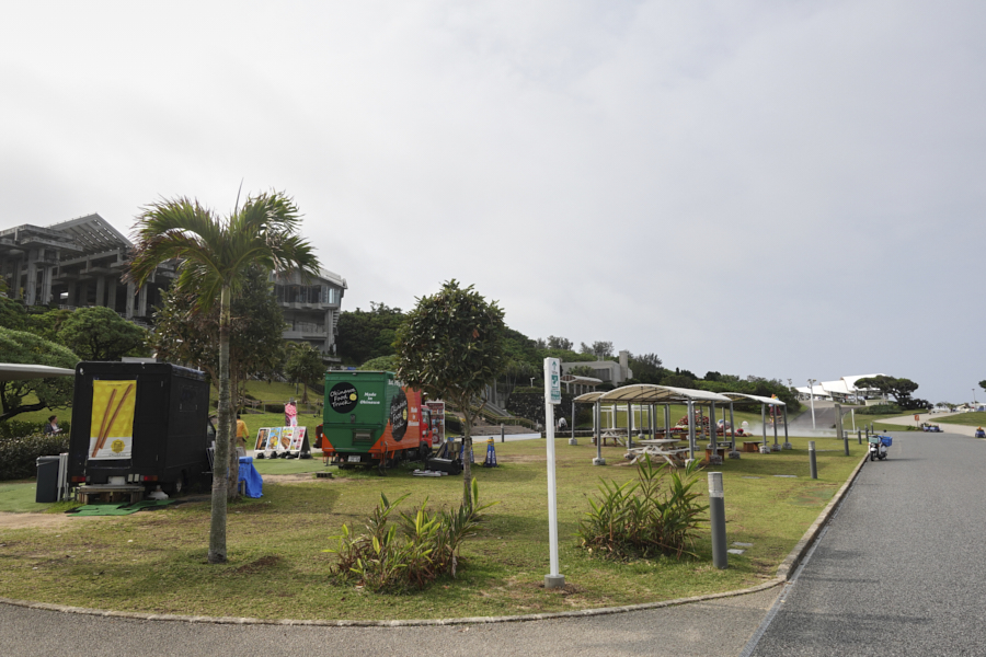 오키나와 츄라우미 수족관 가는길