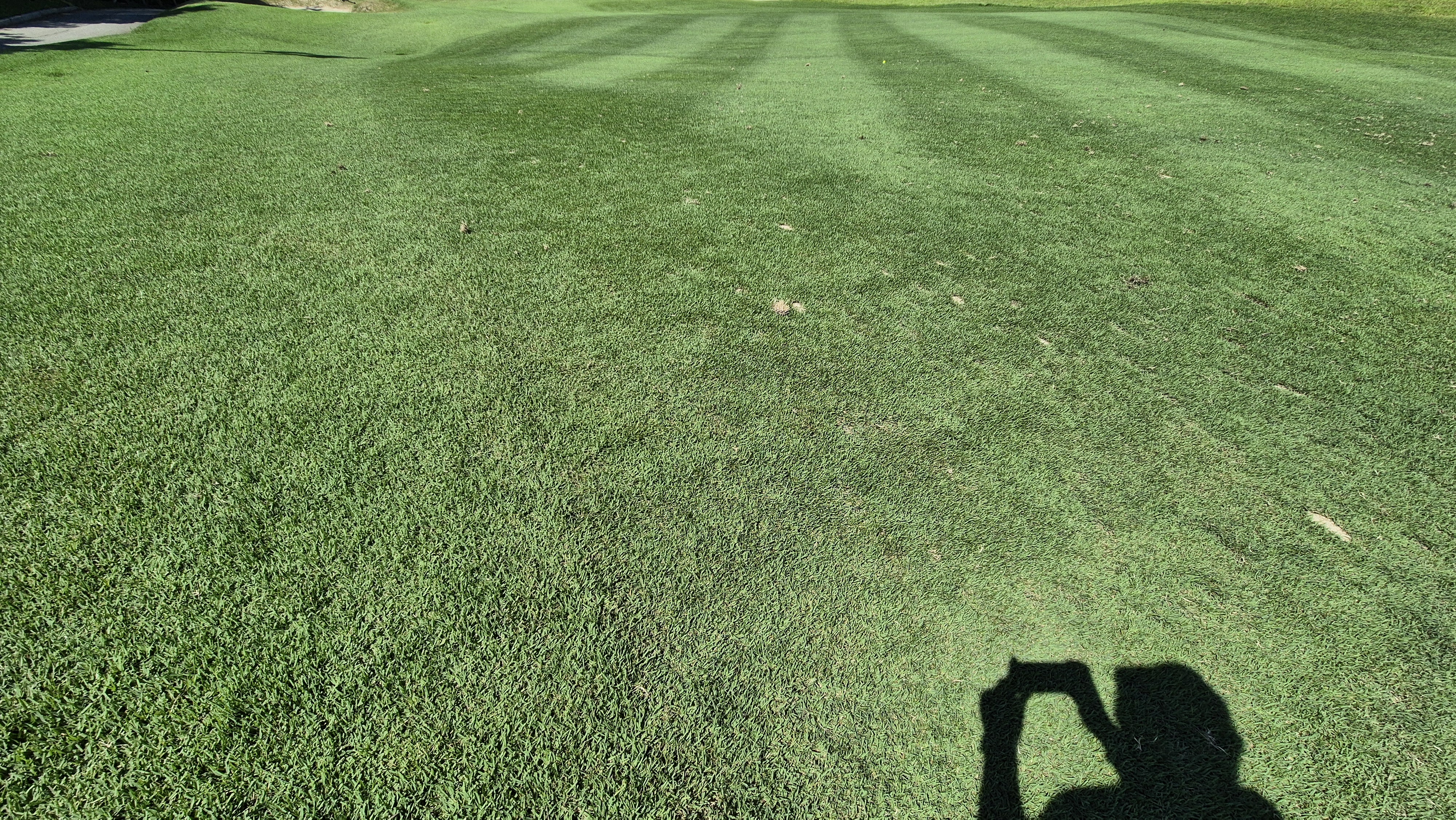 골프존카운티 화랑 라운드 후기