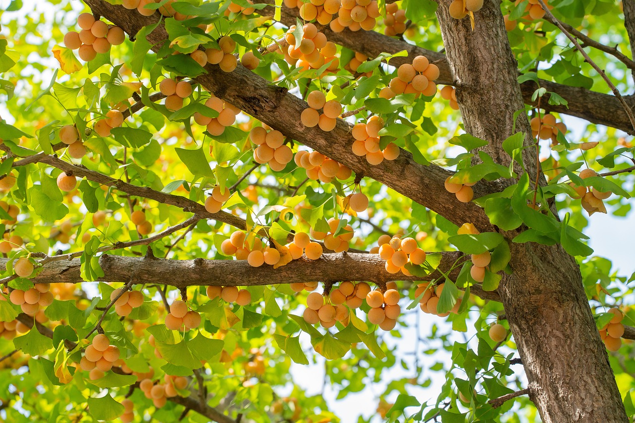 가을철 건강 관리