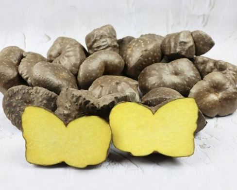 하늘마 효능 부작용 하늘마 먹는 방법 총정리