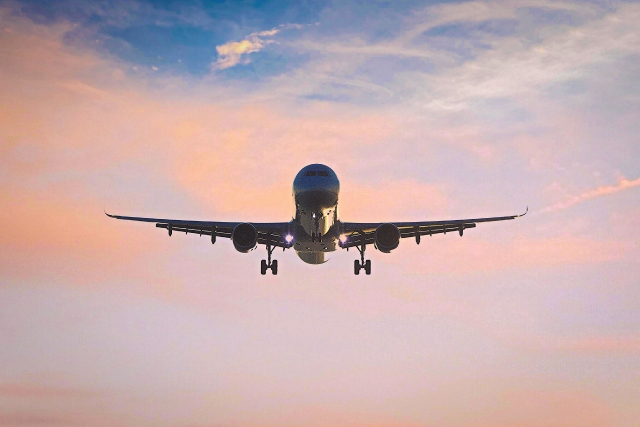 JAL(일본항공) 수하물(수화물) 규정 총정리(무료 위탁 수하물, 유모차, 악기, 골프백, 서핑 장비, 애완동물, 기내반입)