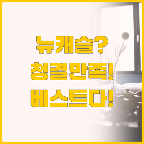 뉴 캐슬 숙소 고민 끝, 청결과 만족..