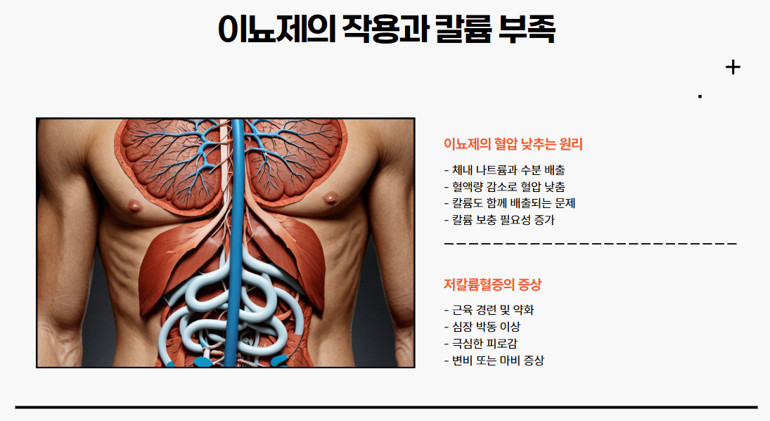 이뇨제의 작용과 칼륨 부족