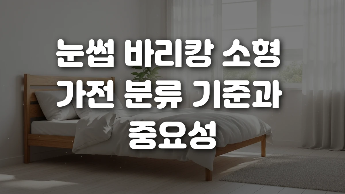 눈썹 바리캉 소형 가전 분류 기준과 중요성